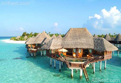Coco Palm Resort & Spa 6